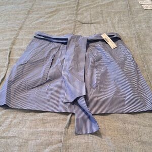 Blue Striped Mini Skirt with Belt